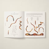 The Guided Sketchbook