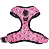 Asanoha Harness