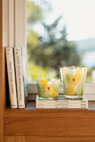 Baobab Collection Santo Sospir Candle