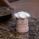 Essence Light Pink Suede Box | White Roses