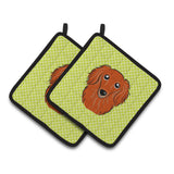 Caroline'S Treasures Checkerboard Lime Green Longhair Red Dachshund Pair Of Pot Holders Bb1276Pthd, 7.5Hx7.5W, Multicolor
