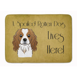 Caroline'S Treasures Cavalier Spaniel Spoiled Dog Lives Here Floor Mat, 19 X 27, Multicolor