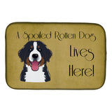 Caroline'S Treasures Bernese Mountain Spoiled Dog Lives Here Dish Drying Mat, 14 X 21