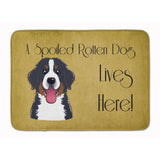 Caroline'S Treasures Bernese Mountain Spoiled Dog, 19 X 27, Multicolor