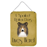 Caroline'S Treasures Bb1490Ds1216 Sheltie Spoiled Dog Lives Here Wall Or Door Hanging Prints, 16 X 12, Multicolor