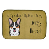 Caroline'S Treasures Tricolor Corgi Spoiled Dog Lives Here Dish Drying Mat, 14 X 21