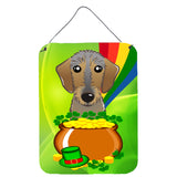 Caroline'S Treasures Wirehaired Dachshund St. Patrick'S Day Wall Or Door Hanging Prints Bb1977Ds1216, 16Hx12W, Multicolor
