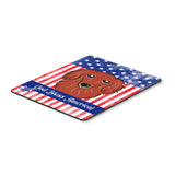 Caroline'S Treasures Longhair Red Dachshund Mouse Pad, Hot Pad Or Trivet, Multicolor (Bb2144Mp)
