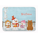 Caroline'S Treasures Merry Christmas Norwich Terrier, 19 X 27, Multicolor