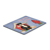 Caroline'S Treasures Dog House Collection Appenzeller Sennenhund Mouse Pad, Multicolor, 7.75X9.25 (Bb2797Mp)