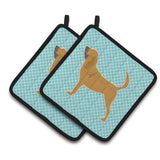 Caroline'S Treasures Bloodhound Checkerboard Blue Pair Of Pot Holders Bb3684Pthd, 7.5Hx7.5W, Multicolor