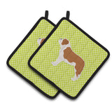 Caroline'S Treasures Saint Bernard Checkerboard Green Pair Of Pot Holders Bb3876Pthd, 7.5Hx7.5W, Multicolor