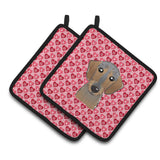 Caroline'S Treasures Wirehaired Dachshund Hearts Pair Of Pot Holders, 7.5Hx7.5W, Multicolor