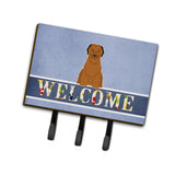 Caroline'S Treasures Briard Brown Welcome Wall Hook, Triple, Multicolor