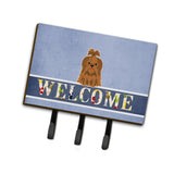 Caroline'S Treasures Shih Tzu Silver Chocolate Welcome Wall Hook, Triple, Multicolor