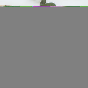 Easter Eggs Papillon Sable White Greeting Cards And Envelopes Pack Of 8