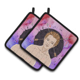 Caroline'S Treasures Sagittarius Zodiac Sign Decorated Pot Holder, 7.5Hx7.5W, Multicolor