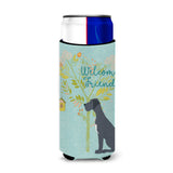 Caroline'S Treasures Welcome Friends Black Dane Decorative Can Hugger, Multicolor
