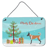 Caroline'S Treasures Malinois Christmas Metal Print, 8 X 12, Multicolor