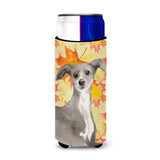 Caroline'S Treasures Italian Greyhound Fall Decorative Can Hugger, Slim, Multicolor