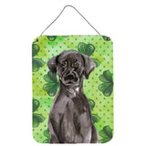 Caroline'S Treasures Black Labrador St. Patrick'S Metal Print, 16 X 12, Multicolor