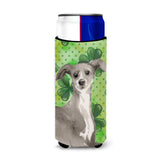 Caroline'S Treasures Italian Greyhound St. Patrick'S Decorative Can Hugger, Slim, Multicolor