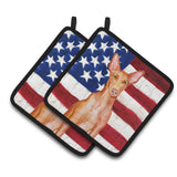 Caroline'S Treasures Pharaoh Hound Patriotic Decorated Pot Holder, 7.5H X 7.5W, Usa American Flag