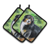 Caroline'S Treasures Bernese Mountain Dog Decorated Pot Holder, 7.5H X 7.5W, St Patrick'S Day