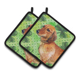 Caroline'S Treasures Dachshund Decorated Pot Holder, 7.5H X 7.5W, St Patrick'S Day