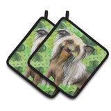 Caroline'S Treasures Chinese Crested Decorated Pot Holder, 7.5H X 7.5W, St Patrick'S Day