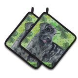 Caroline'S Treasures Giant Schnauzer Decorated Pot Holder, 7.5H X 7.5W, St Patrick'S Day