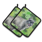 Caroline'S Treasures Schnauzer Decorated Pot Holder, 7.5H X 7.5W, St Patrick'S Day