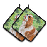 Caroline'S Treasures Cavalier Spaniel Decorated Pot Holder, 7.5H X 7.5W, St Patrick'S Day