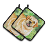 Caroline'S Treasures Golden Retriever Decorated Pot Holder, 7.5H X 7.5W, St Patrick'S Day