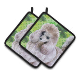 Caroline'S Treasures Poodle Decorated Pot Holder, 7.5H X 7.5W, St Patrick'S Day