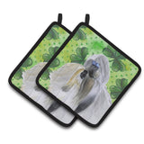 Caroline'S Treasures Shih Tzu Decorated Pot Holder, 7.5H X 7.5W, St Patrick'S Day