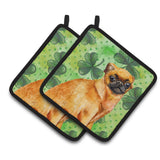 Caroline'S Treasures Small Brabant Griffon Decorated Pot Holder, 7.5H X 7.5W, St Patrick'S Day
