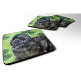 Caroline'S Treasures Newfoundland St Patrick'S Decorative Coasters, Multicolor