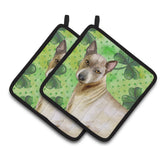 Caroline'S Treasures Thai Ridgeback Decorated Pot Holder, 7.5H X 7.5W, St Patrick'S Day