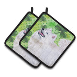 Caroline'S Treasures Samoyed Decorated Pot Holder, 7.5H X 7.5W, St Patrick'S Day