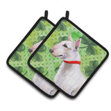 Caroline'S Treasures Bull Terrier Decorated Pot Holder, 7.5H X 7.5W, St Patrick'S Day