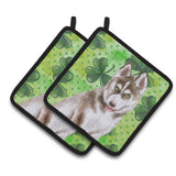 Caroline'S Treasures Siberian Husky Grey Decorated Pot Holder, 7.5H X 7.5W, St Patrick'S Day