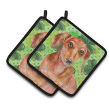 Caroline'S Treasures Red Dachshund Decorated Pot Holder, 7.5H X 7.5W, St Patrick'S Day