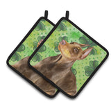 Caroline'S Treasures Doberman Pinscher Decorated Pot Holder, 7.5H X 7.5W, St Patrick'S Day