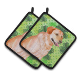 Caroline'S Treasures Labrador Retriever Decorated Pot Holder, 7.5H X 7.5W, St Patrick'S Day