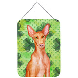 Caroline'S Treasures Pharaoh Hound St Patrick'S Metal Print, 16 X 12, Multicolor