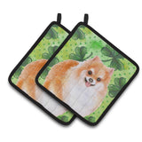 Caroline'S Treasures Pomeranian #2 Decorated Pot Holder, 7.5H X 7.5W, St Patrick'S Day