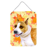 Caroline'S Treasures American Staffordshire Fall Metal Print, 16 X 12, Multicolor