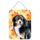 Caroline'S Treasures Bernese Mountain Dog Fall Metal Print, 16 X 12, Multicolor