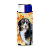 Caroline'S Treasures Bernese Mountain Dog Fall Decorative Can Hugger, Slim, Multicolor
